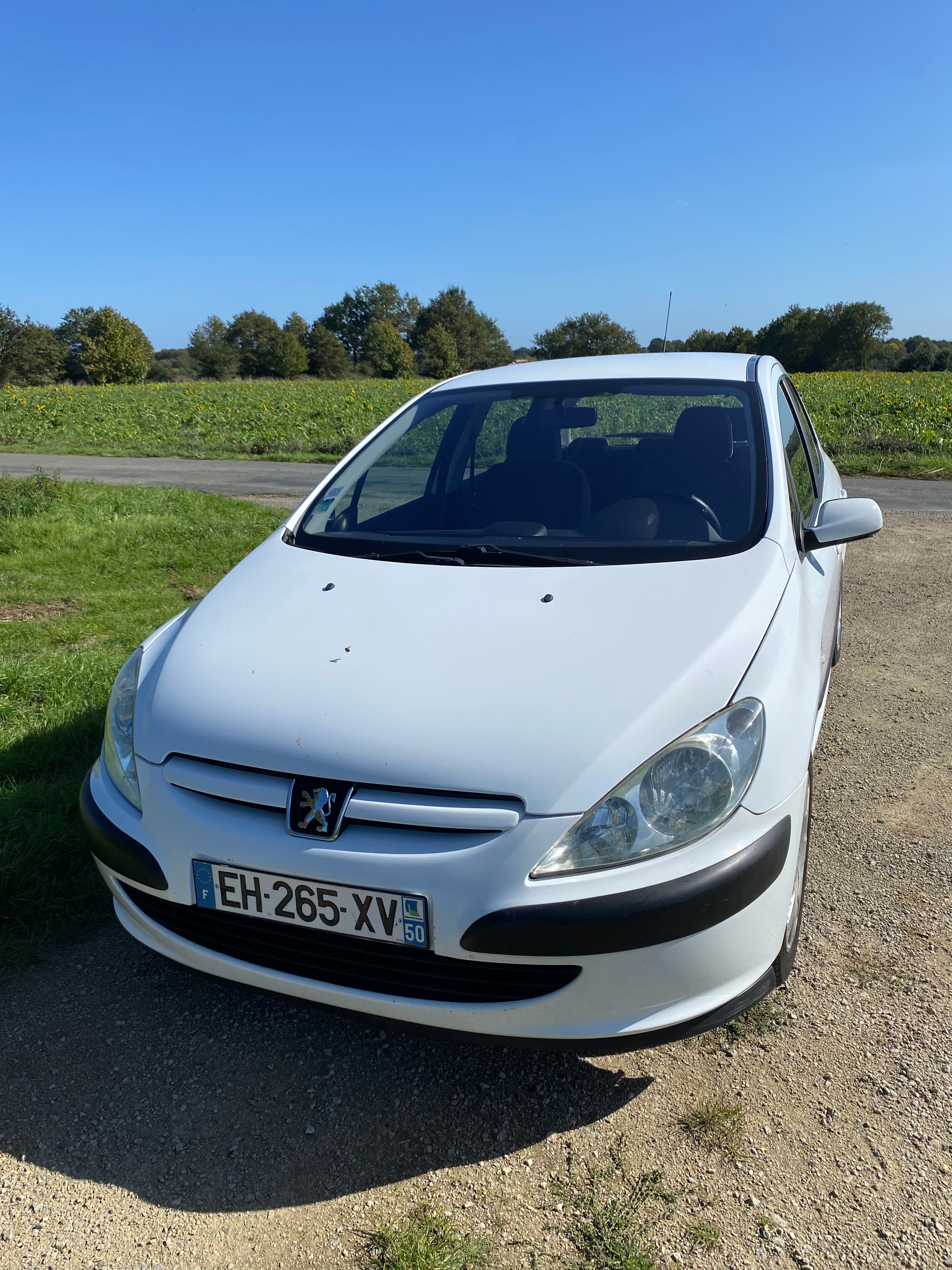 Peugeot 307 Diesel