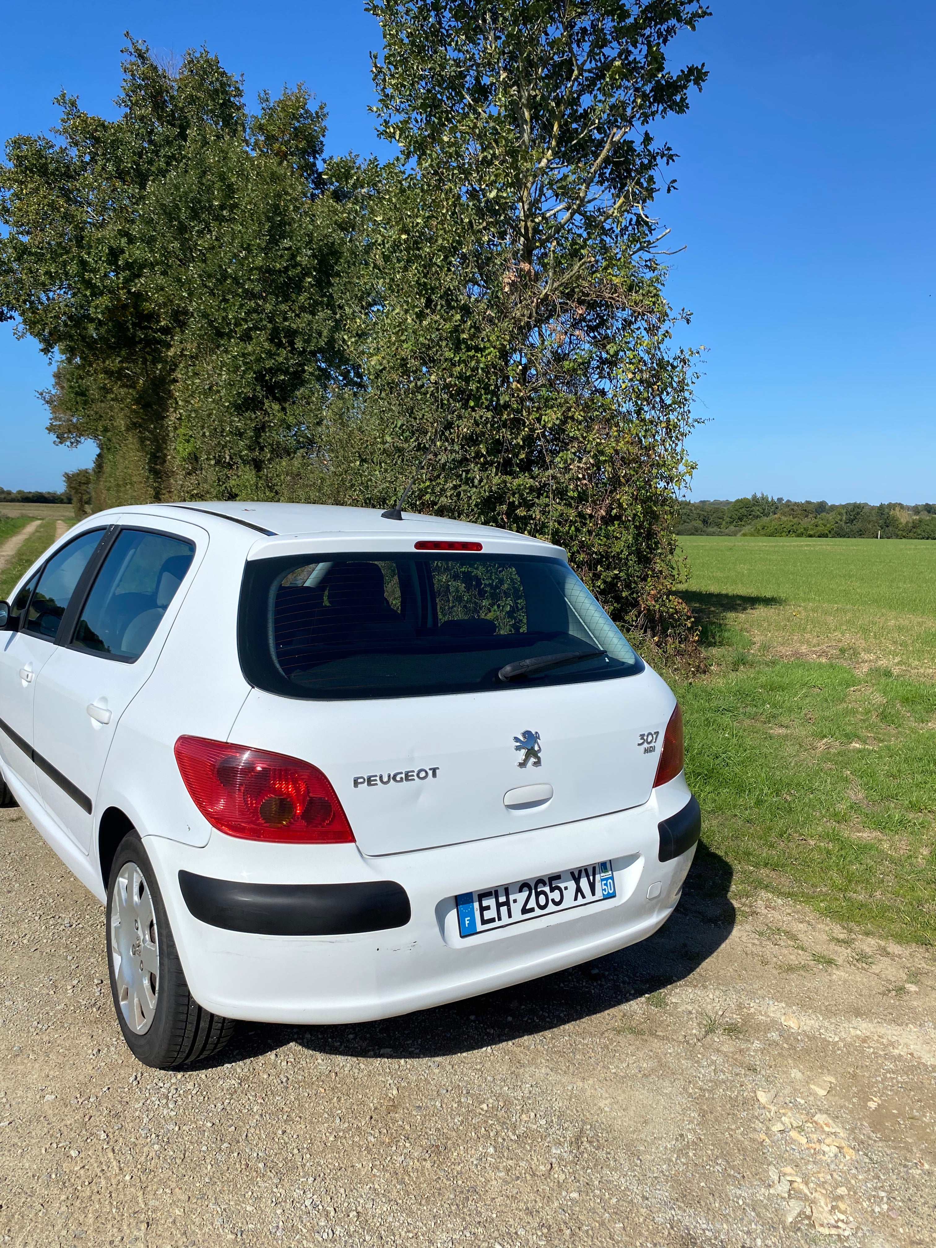 Peugeot 307 Diesel